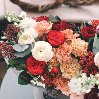 Carnations — fresh bouquets to your taste