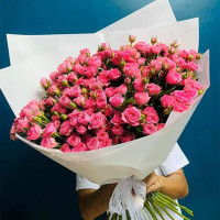 Pink Spray Rose Collection” – 31 Spray Roses – Elegant Floral Bouquet