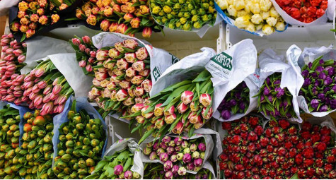 Крупнейший цветочный рынок в мире